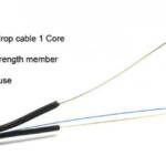 FTTH 1sm
